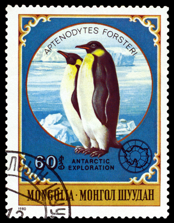 MONGOLIA - CIRCA 1980: a stamp printed by Mongolia  shows  Emperor penguins,  Antarctic Animals and exploration,  circa 1980のeditorial素材
