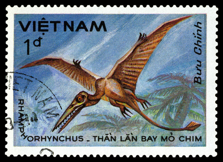 VIETNAM - CIRCA 1984: A stamp printed  in Vietnam  shows  dinosaur Rhamphorhynchus , series  Dinosaurs, circa 1984の写真素材