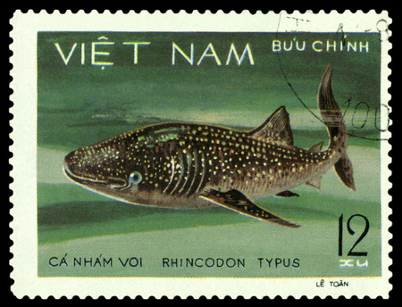 VIETNAM - CIRCA 1980: A stamp printed in Vietnam, shows  Rhincodon Tipus, circa 1980のeditorial素材