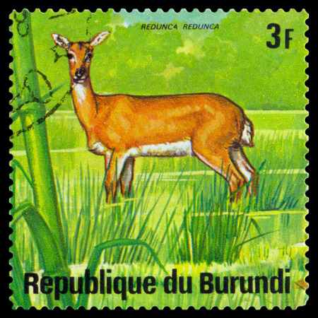 BURUNDI - CIRCA 1975: A stamp printed by Burundi shows African Water Buck, Animals Burundi, circa 1975.のeditorial素材