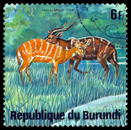 BURUNDI - CIRCA 1975: A stamp printed by Burundi shows Sitatungas, Animals Burundi, circa 1975.のeditorial素材