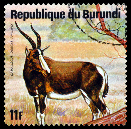 BURUNDI - CIRCA 1975: A stamp printed by Burundi shows  White-fronted hartebeest (D. phillipsi), Animals Burundi, circa 1975.のeditorial素材