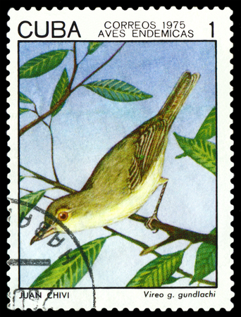 CUBA - CIRCA 1975: A stamp printed by Cuba, shows  bird  Vireo Gundlachi, Indigonous Birds, circa 1975のeditorial素材
