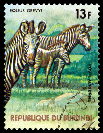 BURUNDI CIRCA 1977: A stamp printed by Burundi shows Grevy39s zebra Animals Burundi circa 1977.のeditorial素材