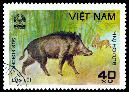 VIETNAM - CIRCA 1981: A stamp printed in Vietnam shows Wild boar, Sus scrofa, circa 1981のeditorial素材