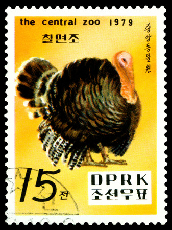 DPRK - Oct. 09.1979: a stamp printed in DPRK,  shows  Turkey, series. Central. Zoo, Pyongyang.のeditorial素材