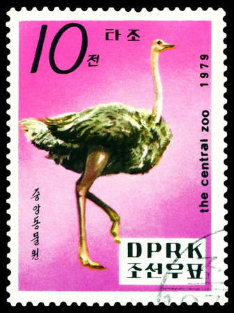 DPRK - Oct. 09.1979: a stamp printed in DPRK,  shows  Ostrich, series. Central. Zoo, Pyongyang.のeditorial素材