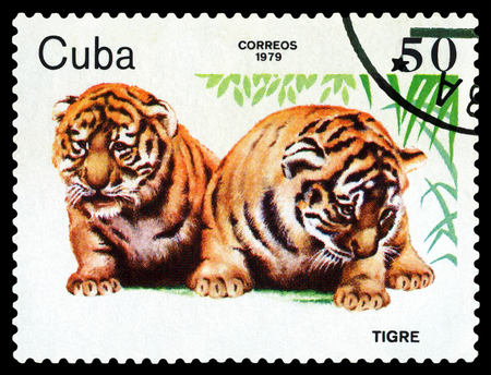 CUBA- CIRCA 1979: A stamp printed in , shows Tiger cubs, Zoo Animals, circa 1979