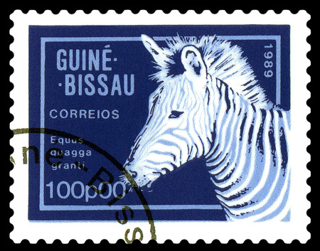 STAVROPOL, RUSSIA - A stamp printed by Guinea - Bissau,  shows African  Zebra,  circa 1989.