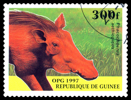STAVROPOL, RUSSIA - October 12, 2016: a stamp printed in Guinea shows  Desert warthog (Phacochoerus aethiopicus),  circa 1997.のeditorial素材