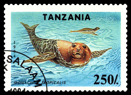 STAVROPOL, RUSSIA - December 11, 2016: a stamp printed by Tanzania shows  Monachus Tropicalis (Caribbean monk seal),  circa 1994のeditorial素材