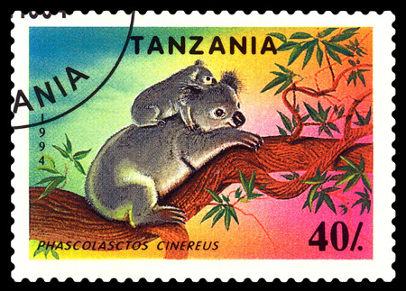 STAVROPOL, RUSSIA - December 11, 2016: a stamp printed by Tanzania shows  Phascolasctos Cinereus (Koala),  circa 1994のeditorial素材
