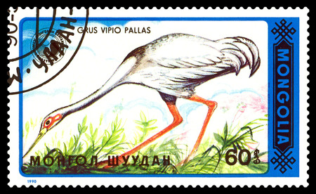 STAVROPOL, RUSSIA - January 23, 2017: A Stamp sheet printed in Mongolia shows bird Grus Vipio Pallas, circa 1990のeditorial素材