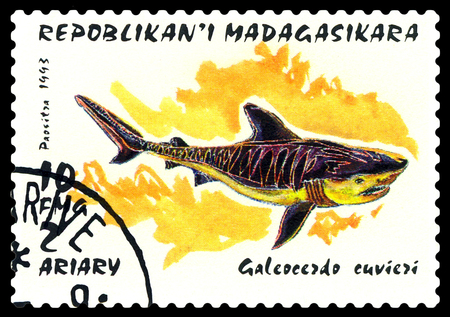 STAVROPOL, RUSSIA -  February 17, 2017: a stamp printed by Malagasy shows   Tiger shark (Galeocerdo cuvier), circa 1993のeditorial素材