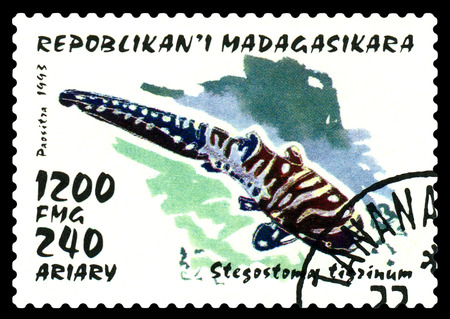 STAVROPOL, RUSSIA -  February 17, 2017: a stamp printed by Malagasy shows   Young zebra shark ( Stegostoma  fascatum), circa 1993のeditorial素材