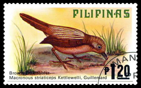 STAVROPOL, RUSSIA - March 17, 2017: A stamp printed by Philippines shows  bird  Cinavia babbler, Philippine animals, circa 1979.のeditorial素材
