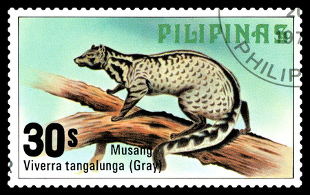 STAVROPOL, RUSSIA - March 09, 2017: A stamp printed by Philippines shows  Malay palm civet, Philippine animals, circa 1979.のeditorial素材
