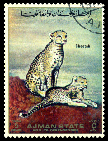 STAVROPOL, RUSSIA -  April  05, 2017:  A stamp printed in Ajman shows Cheetah  (Acinonyx jubatus), circa 1967のeditorial素材