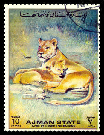 STAVROPOL, RUSSIA - April 05, 2017: A stamp printed in Ajman shows Panthera Leo (Panther lion), circa 1995のeditorial素材