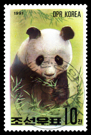 STAVROPOL, RUSSIA - May 14, 2017: A Stamp sheet printed in North Korea shows Giant Pandas, series Pandas, circa 1991のeditorial素材