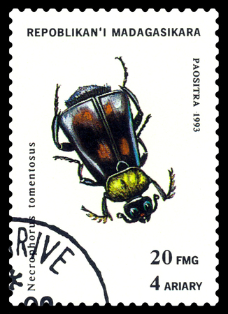 STAVROPOL, RUSSIA - May 23, 2017: a stamp printed in Malagasy Republic shows  Beetle  Necrophorus tomentosus, series beetle, circa 1993のeditorial素材