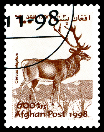 STAVROPOL, RUSSIA - June 12, 2017: A stamp printed in Afghanistan shows  Noble deer (Cervus elaphus) circa 1998のeditorial素材