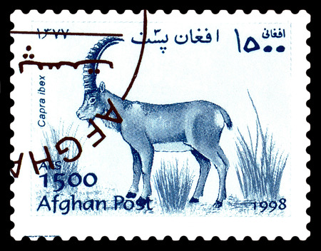 STAVROPOL, RUSSIA - June 12, 2017: A stamp printed in Afghanistan shows Alpine mountain goat (Capra ibex) circa 1998のeditorial素材