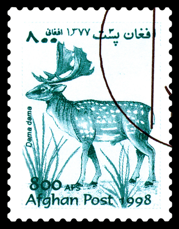 STAVROPOL, RUSSIA - June 12, 2017: A stamp printed in Afghanistan shows  European doe (Dama dama)...