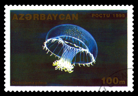 STAVROPOL, RUSSIA - November 28. 2017: A stamp printed in Azerbaijan  shows Jellyfish with umbrella Orchistoma cap, Orchistoma pileus, series Marine Animals. circa 1995のeditorial素材