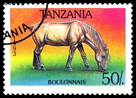 STAVROPOL, RUSSIA - May 10, 2018: A stamp printed by Tanzania shows Boulonnais  Horse, circa 1993のeditorial素材