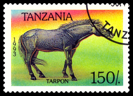 STAVROPOL, RUSSIA - May 10, 2018: A stamp printed by Tanzania shows Tarpon horse, circa 1993のeditorial素材