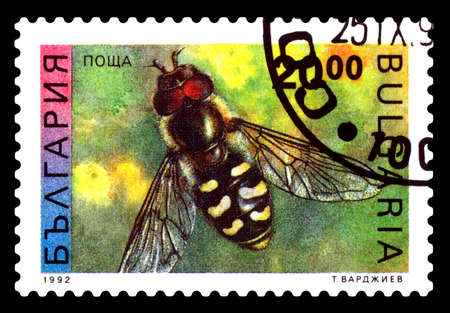 STAVROPOL, RUSSIA - October 06 2020. Vintage stamp printed in Bulgaria shows Hoverfly, Hoverflies - a family of dipterans from the suborder Brachycera, circa 1992のeditorial素材