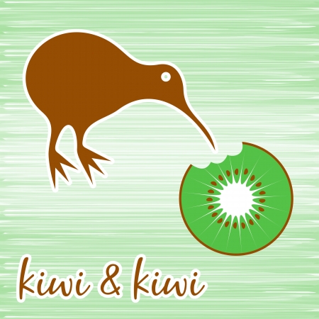 Kiwi bird eating kiwi fruit on green backgroundのイラスト素材
