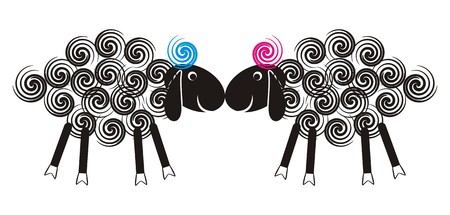 Two cute lambs sniffing each other with black heads and wool spiralsのイラスト素材