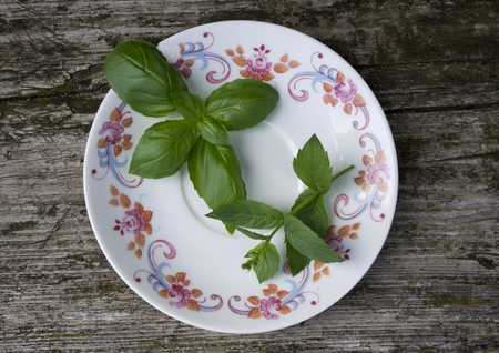 leaves of basil and mint on old plateの写真素材