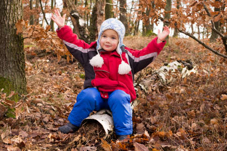 cute boy in autumn forest sit on trunkの写真素材