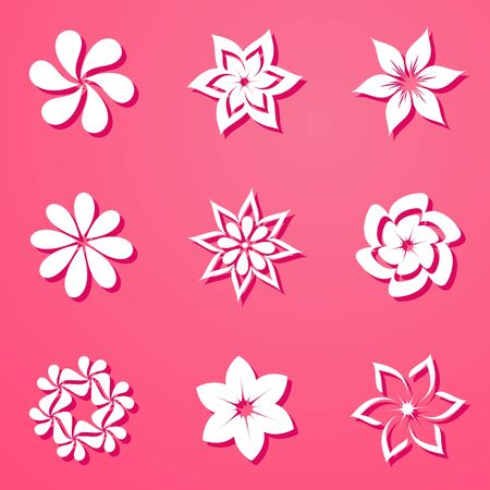 Set of beautiful white flowers on pink backgroundのイラスト素材