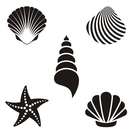 Set of various black sea shells and starfishのイラスト素材