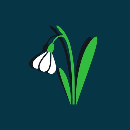 Green and white snowdrop vector illustration on blueのイラスト素材