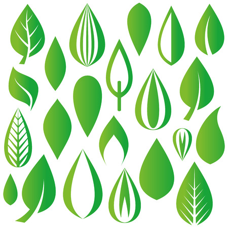 Set of various vector green leaves design elementsのイラスト素材