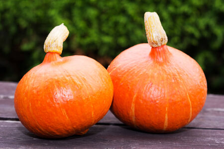 pumpkins on the old wooden table with green backgroundの写真素材