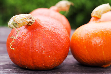 pumpkins on the old wooden table with green backgroundの写真素材