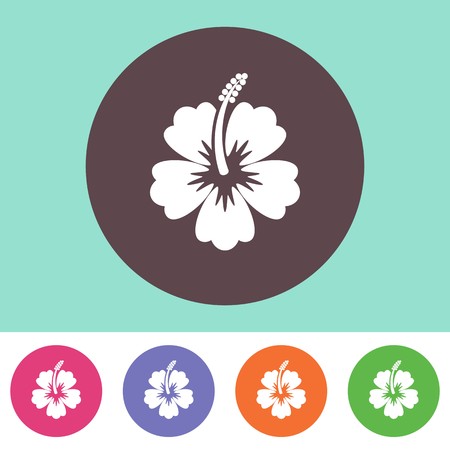 Vector hibiscus flower icon on round colorful buttonsのイラスト素材