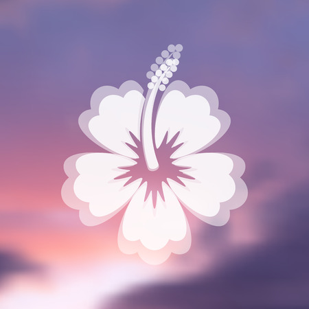 White vector hibiscus flower icon on blurred backgroundのイラスト素材