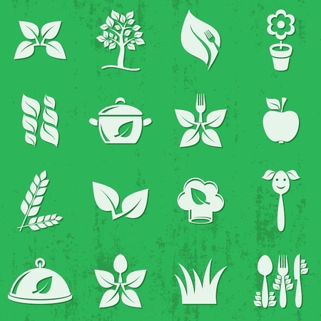 Vector vegetarian organic food icons set isolatedのイラスト素材