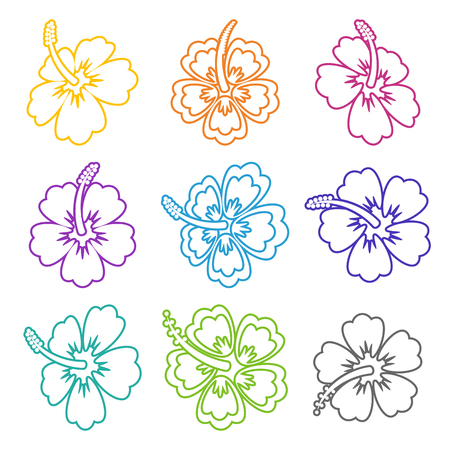 Colorful vector hibiscus flower outline icons on whiteのイラスト素材