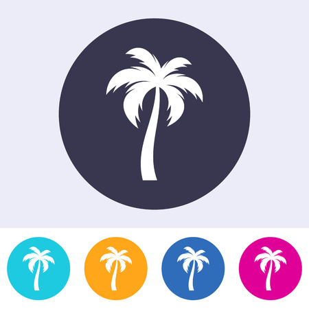 Vector single palm tree icon on colorful buttonsのイラスト素材