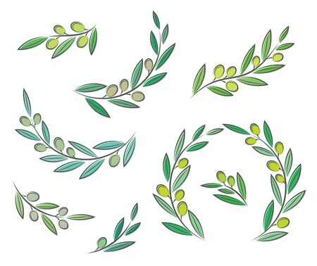 Vector olive branch set with leaves and olivesのイラスト素材
