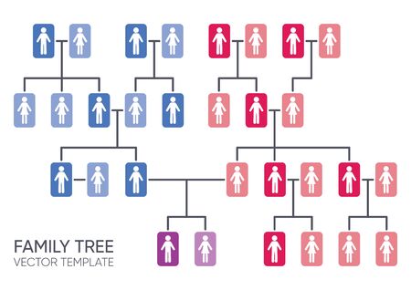 Simple vector family tree design template genealogy conceptのイラスト素材