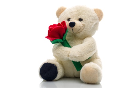 Soft plush teddy bear toy clutching a single red rose in its arms for an anniversary or Valentines celebrationの写真素材